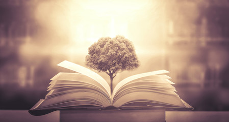 怎样自制洗发水