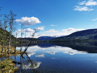 必看教程“微乐捉老麻子开挂神器下载安装”最新辅助详细教程