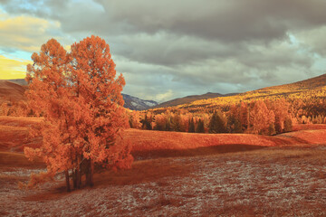 有关名人的英语故事欣赏