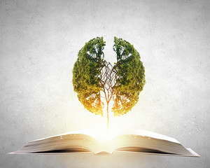 西瓜皮擦脸有美白的功效么？