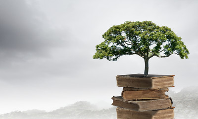 你们觉得学纹绣怎么样