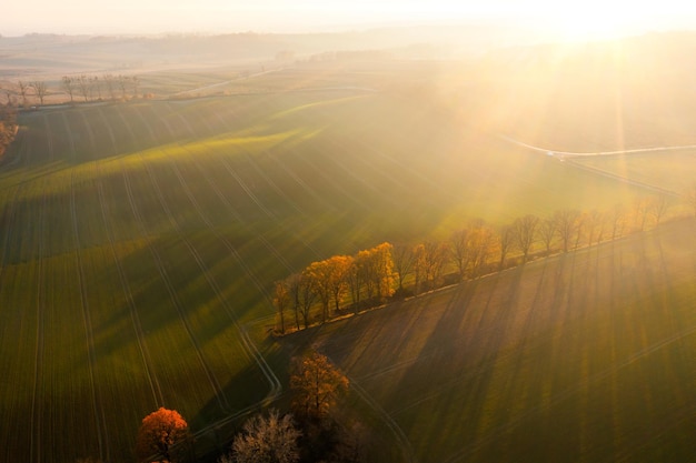碧欧泉绿活泉精华应该怎么用
